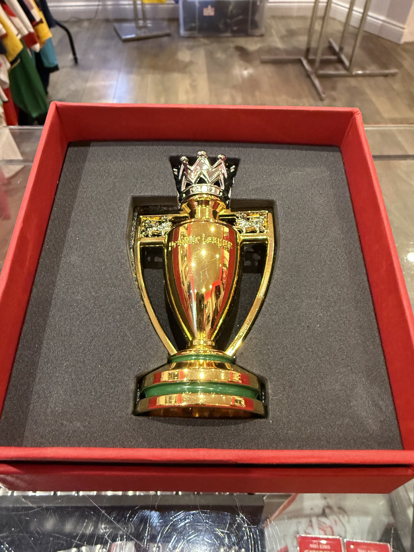 Invincibles Trophy Display ( Preorder)