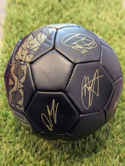 Arsenal Football Mini - Black & Gold Team Signed Ball