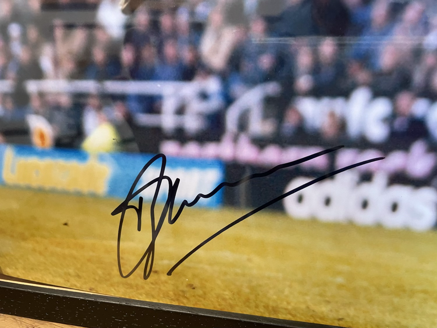Bergkamp v Newcastle Signed Photo